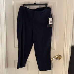 Size 12 Navy Briggs Pants